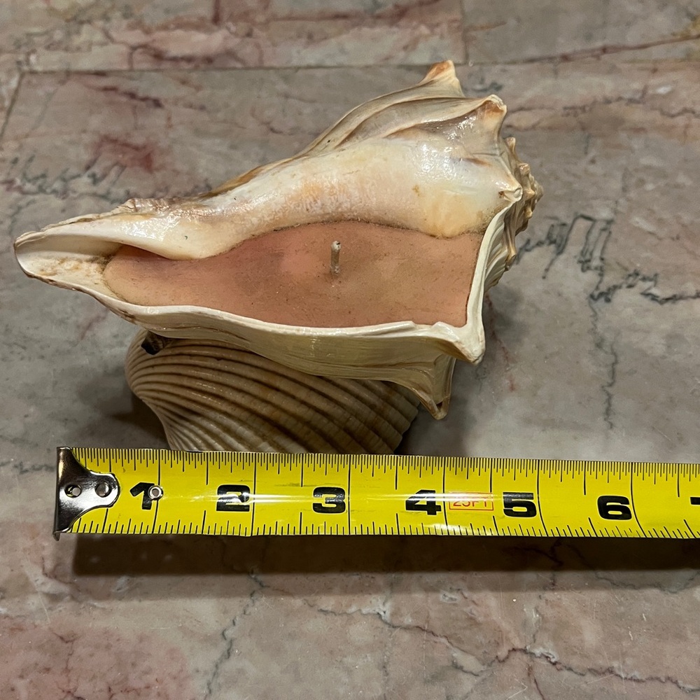 Conch Shell with Candle - Picture 6 of 7